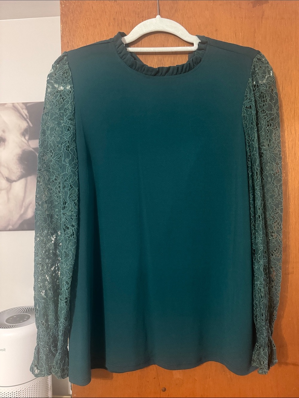 Adrianna Papell Teal Lace Sleeve Blouse